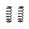 Arnott Coil Spring Conversion Kit, C-2835 C-2835 - alternate 2